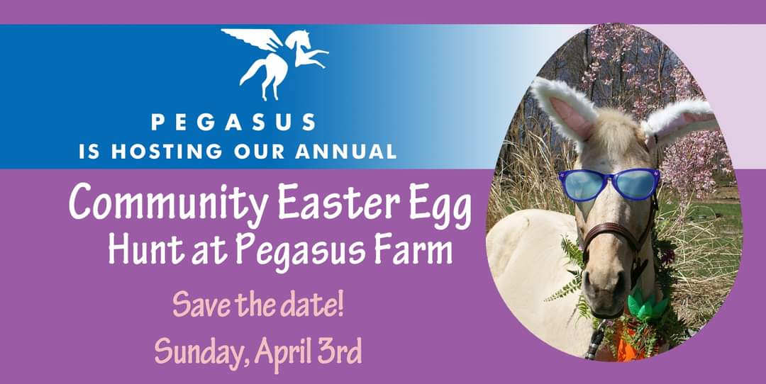 Community Easter Egg Hunt at Pegasus Farm