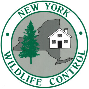 NY Wildlife Logo Web