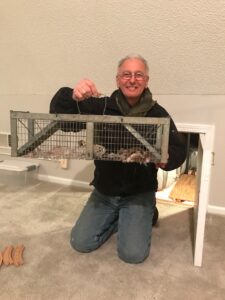 flying squirrels