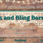 2nd Annual Gala: The Boots & Bling Barn Ball