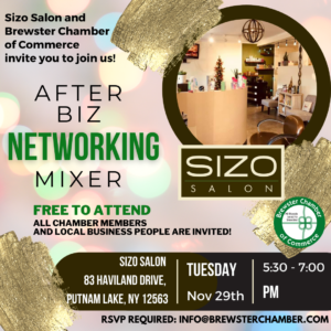Sizo Salon Mixer Nov 2022 1