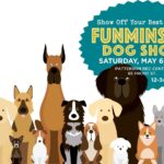 Funminster Dog Show