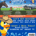 Putnam County Country Fest & 4-H Youth Showcase