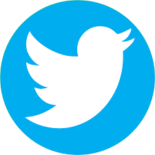 Social Twitter logo